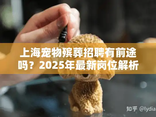 上海宠物殡葬招聘有前途吗？2025年最新岗位解析