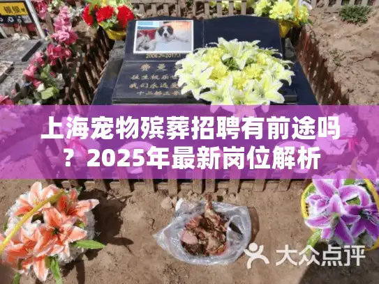 上海宠物殡葬招聘有前途吗？2025年最新岗位解析