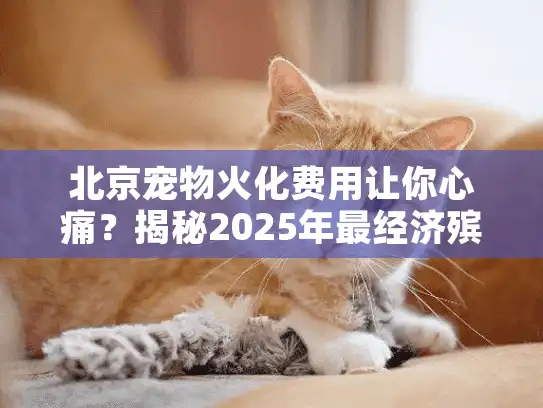 北京宠物火化费用让你心痛？揭秘2025年最经济殡葬选择妙招
