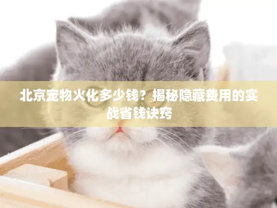 北京宠物火化多少钱？揭秘隐藏费用的实战省钱诀窍