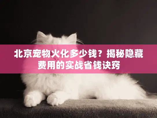 北京宠物火化多少钱？揭秘隐藏费用的实战省钱诀窍