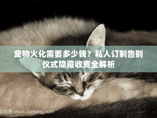 宠物火化需要多少钱？私人订制告别仪式隐藏收费全解析