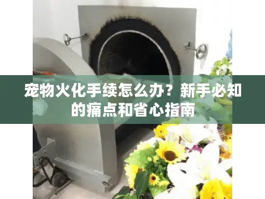 宠物火化手续怎么办？新手必知的痛点和省心指南