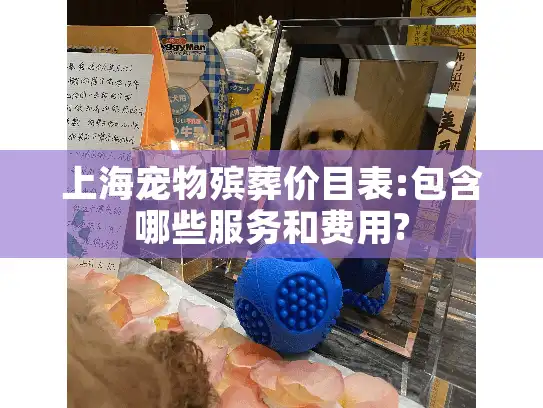 上海宠物殡葬价目表:包含哪些服务和费用?
