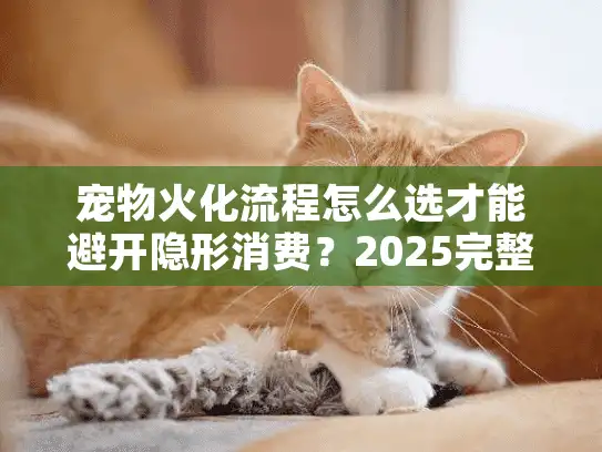 宠物火化流程怎么选才能避开隐形消费？2025完整避坑指南