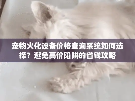 宠物火化设备价格查询系统如何选择？避免高价陷阱的省钱攻略