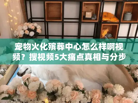 宠物火化殡葬中心怎么样啊视频？搜视频5大痛点真相与分步避坑法