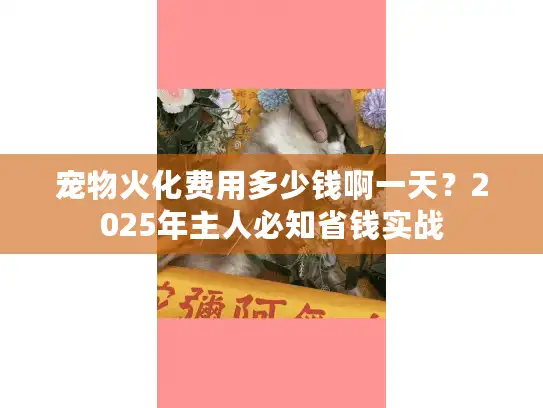 宠物火化费用多少钱啊一天？2025年主人必知省钱实战