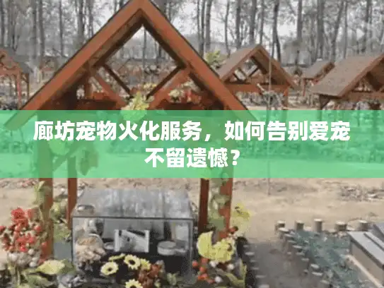廊坊宠物火化服务，如何告别爱宠不留遗憾？