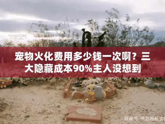 宠物火化费用多少钱一次啊？三大隐藏成本90%主人没想到