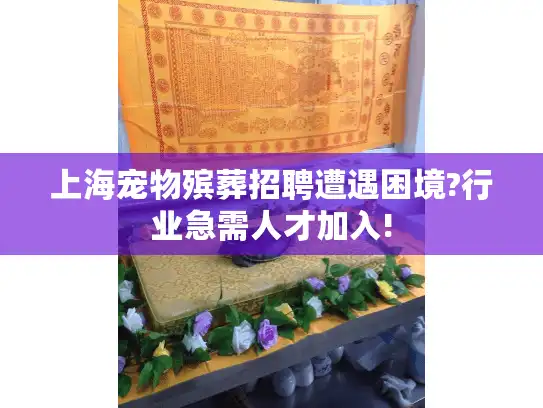 上海宠物殡葬招聘遭遇困境?行业急需人才加入!