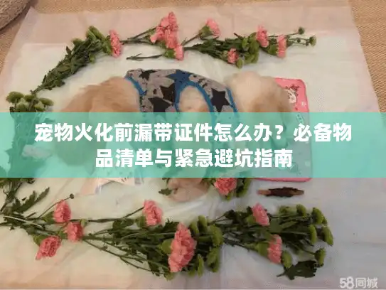 宠物火化前漏带证件怎么办？必备物品清单与紧急避坑指南