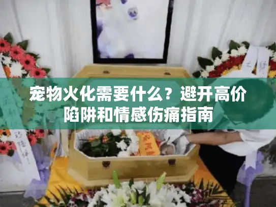 宠物火化需要什么？避开高价陷阱和情感伤痛指南