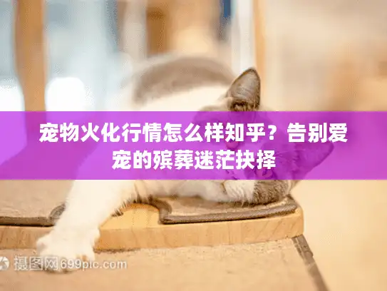 宠物火化行情怎么样知乎？告别爱宠的殡葬迷茫抉择