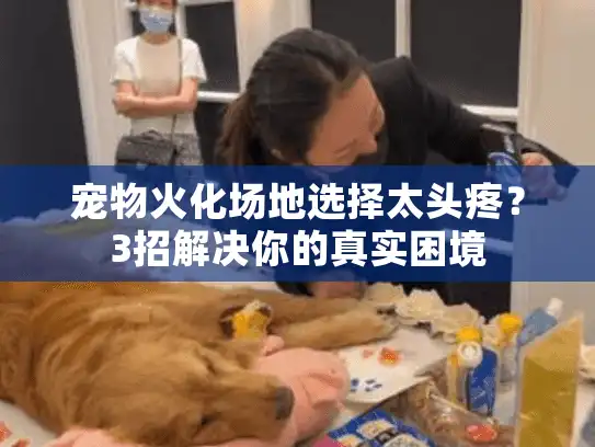 宠物火化场地选择太头疼？3招解决你的真实困境