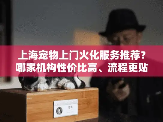 上海宠物上门火化服务推荐？哪家机构性价比高、流程更贴心？