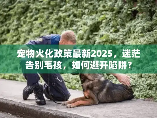 宠物火化政策最新2025，迷茫告别毛孩，如何避开陷阱？