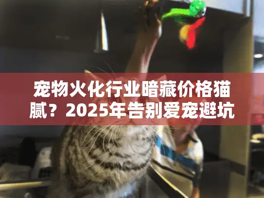 宠物火化行业暗藏价格猫腻？2025年告别爱宠避坑终极指南