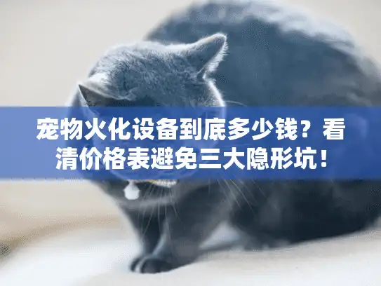 宠物火化设备到底多少钱？看清价格表避免三大隐形坑！