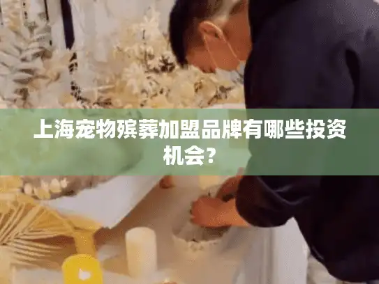 上海宠物殡葬加盟品牌有哪些投资机会？