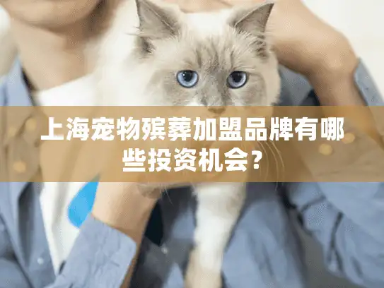 上海宠物殡葬加盟品牌有哪些投资机会？