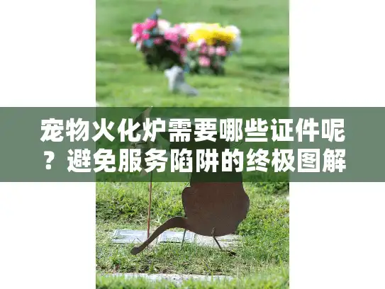 宠物火化炉需要哪些证件呢？避免服务陷阱的终极图解指南