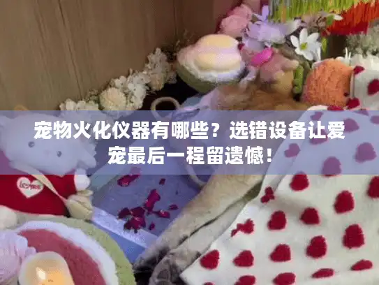 宠物火化仪器有哪些？选错设备让爱宠最后一程留遗憾！