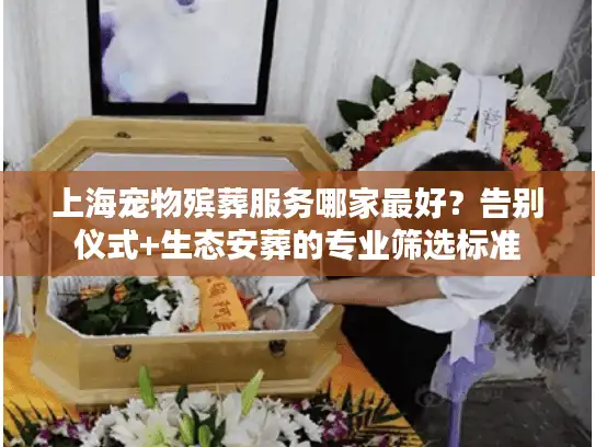 上海宠物殡葬服务哪家最好？告别仪式+生态安葬的专业筛选标准