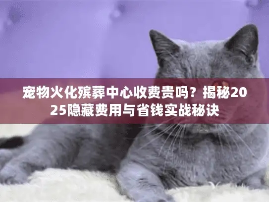 宠物火化殡葬中心收费贵吗？揭秘2025隐藏费用与省钱实战秘诀