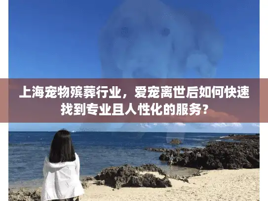 上海宠物殡葬行业，爱宠离世后如何快速找到专业且人性化的服务？