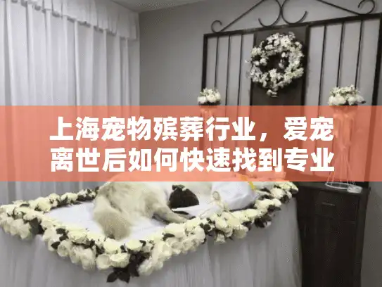 上海宠物殡葬行业，爱宠离世后如何快速找到专业且人性化的服务？