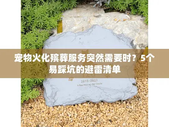 宠物火化殡葬服务突然需要时？5个易踩坑的避雷清单