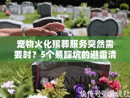 宠物火化殡葬服务突然需要时？5个易踩坑的避雷清单