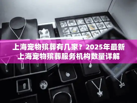上海宠物殡葬有几家？2025年最新上海宠物殡葬服务机构数量详解