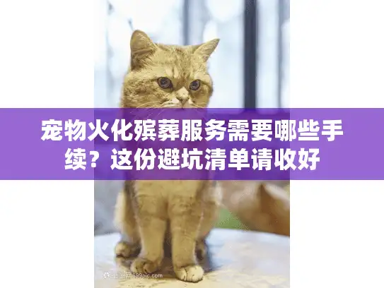 宠物火化殡葬服务需要哪些手续？这份避坑清单请收好