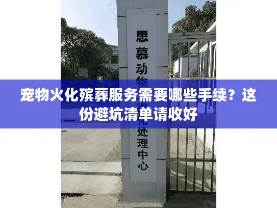 宠物火化殡葬服务需要哪些手续？这份避坑清单请收好