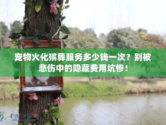 宠物火化殡葬服务多少钱一次？别被悲伤中的隐藏费用坑惨！