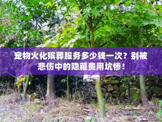 宠物火化殡葬服务多少钱一次？别被悲伤中的隐藏费用坑惨！