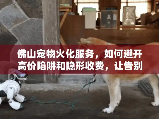 佛山宠物火化服务，如何避开高价陷阱和隐形收费，让告别更安心？
