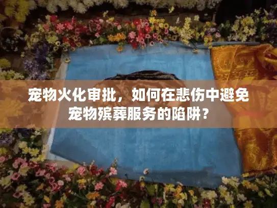 宠物火化审批，如何在悲伤中避免宠物殡葬服务的陷阱？
