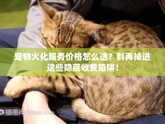 宠物火化服务价格怎么选？别再掉进这些隐藏收费陷阱！
