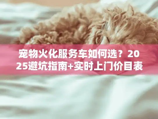 宠物火化服务车如何选？2025避坑指南+实时上门价目表