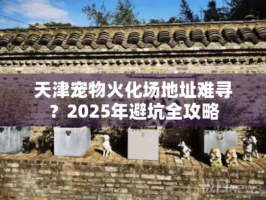 天津宠物火化场地址难寻？2025年避坑全攻略