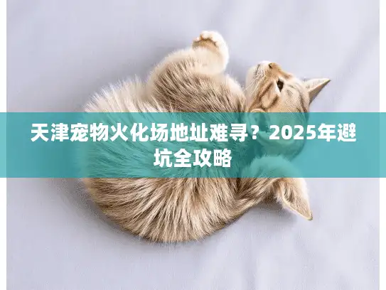 天津宠物火化场地址难寻？2025年避坑全攻略