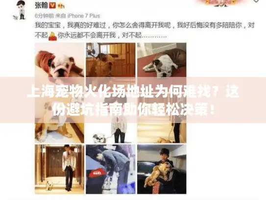 上海宠物火化场地址为何难找？这份避坑指南助你轻松决策！