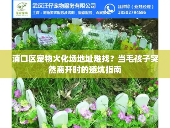 浦口区宠物火化场地址难找？当毛孩子突然离开时的避坑指南