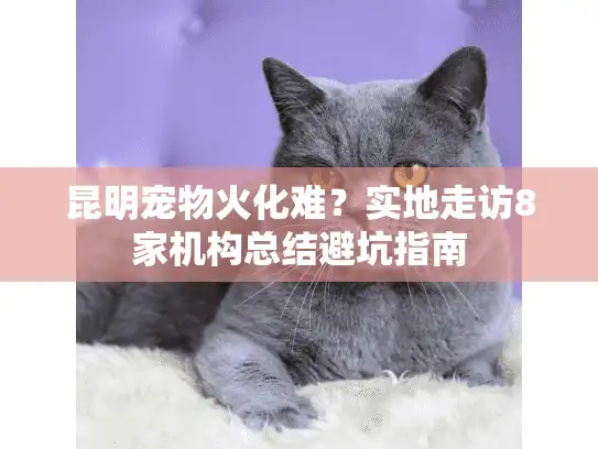 昆明宠物火化难？实地走访8家机构总结避坑指南