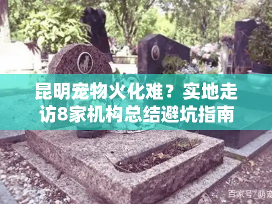 昆明宠物火化难？实地走访8家机构总结避坑指南
