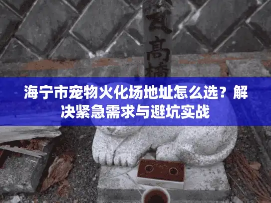 海宁市宠物火化场地址怎么选？解决紧急需求与避坑实战