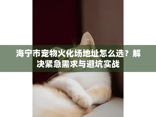 海宁市宠物火化场地址怎么选？解决紧急需求与避坑实战